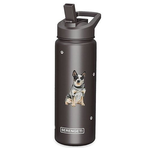 Water Bottle - Australian Cattle Dog - OUT OF STOCK